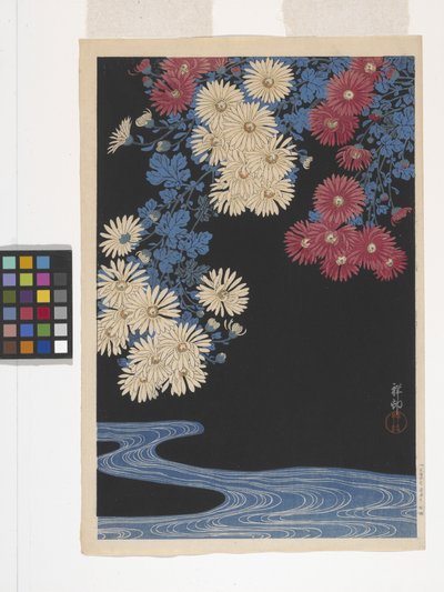 Chrysanthemums And Stream (barevný dřevotisk) od Ohara Koson
