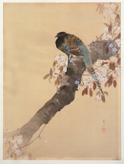 Bažant na větvi třešňového květu od Ohara Koson