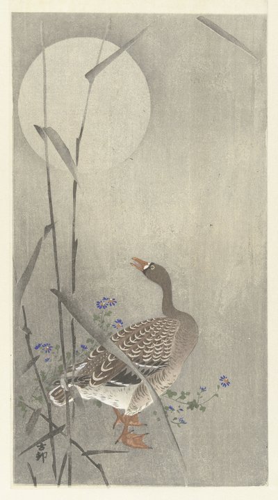 Husa za úplňku od Ohara Koson