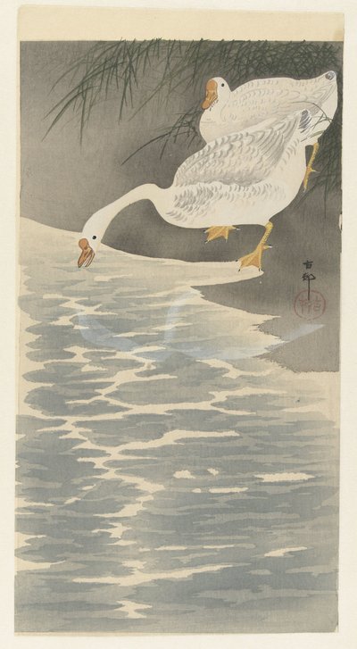 Husy na břehu od Ohara Koson