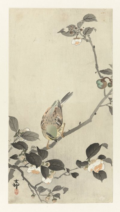 Strnad na větvi květu od Ohara Koson