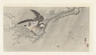 Šedý špaček v bouři od Ohara Koson
