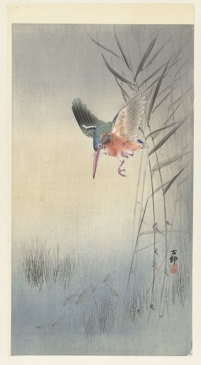 Ledňáček lovící ryby od Ohara Koson