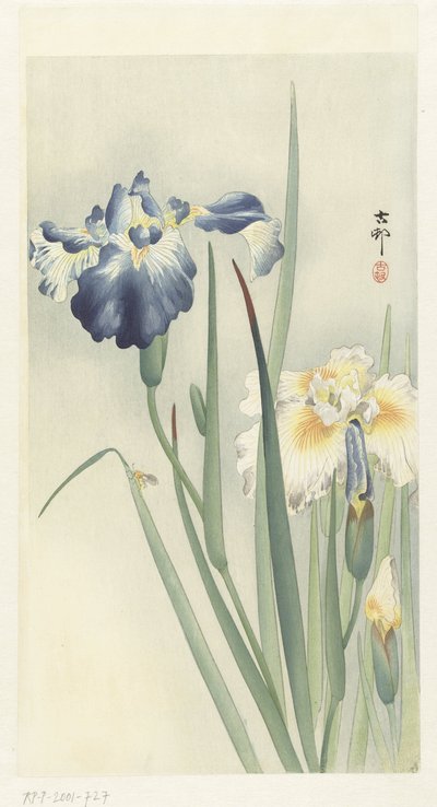 kosatce od Ohara Koson