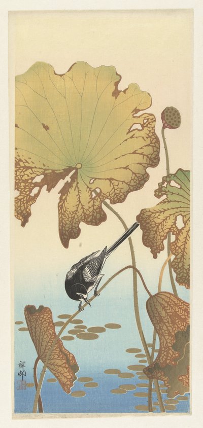 Konipas japonský na rostlině lotosu od Ohara Koson
