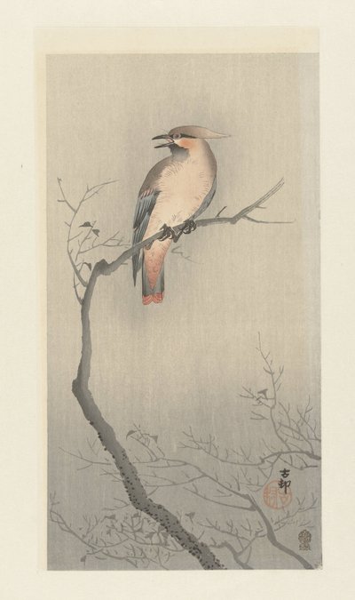Voskovka japonská na větvi od Ohara Koson