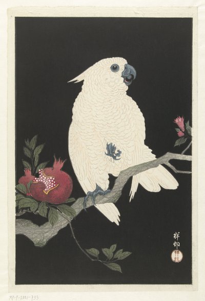 Kakadu a granátové jablko od Ohara Koson