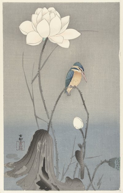 Ledňáček říční s lotosovým květem od Ohara Koson