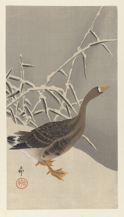 Bílá husa ve sněhu od Ohara Koson