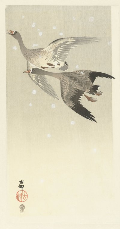 Husy běločelé létající ve sněhu od Ohara Koson
