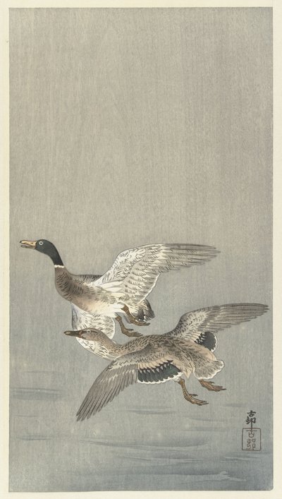 Spárujte kachny od Ohara Koson