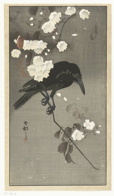 Vrána s třešňovým květem Hana sakura no tori (název na objektu) od Ohara Koson