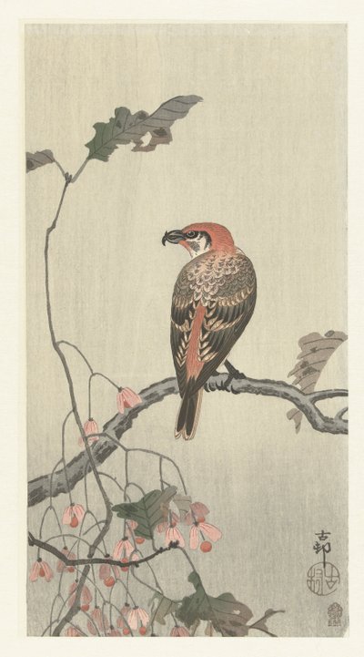 Crossbill na větev stromu od Ohara Koson