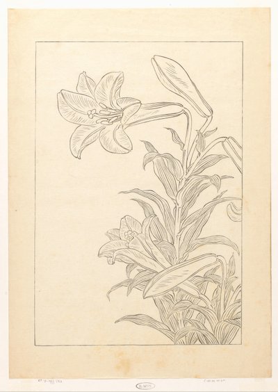 Lelies od Ohara Koson