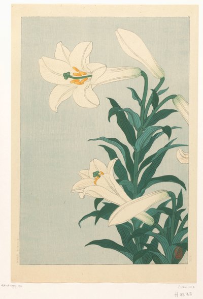 Lelies od Ohara Koson