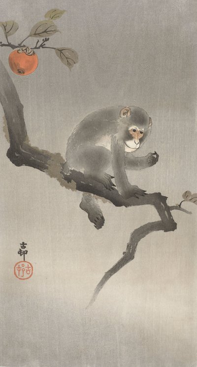 Opice na ovocném stromě, 1900-30 (barevný dřevoryt) od Ohara Koson
