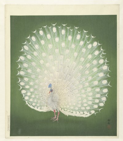 Páv od Ohara Koson