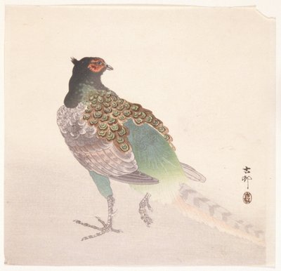 Bažant (barevný dřevotisk) od Ohara Koson