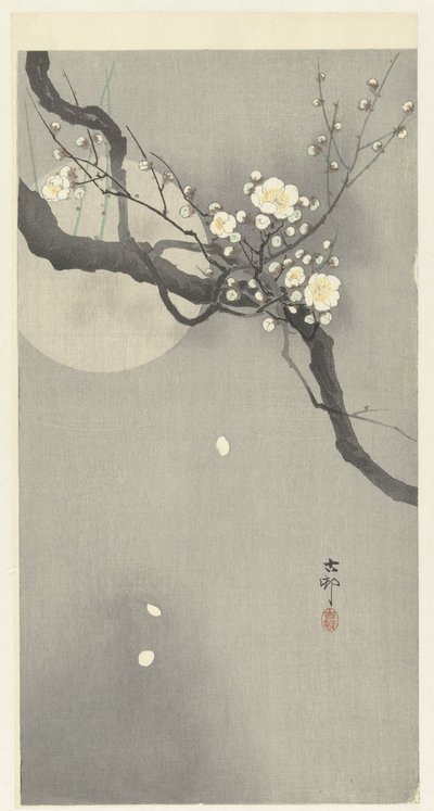 Švestkový květ a úplněk od Ohara Koson