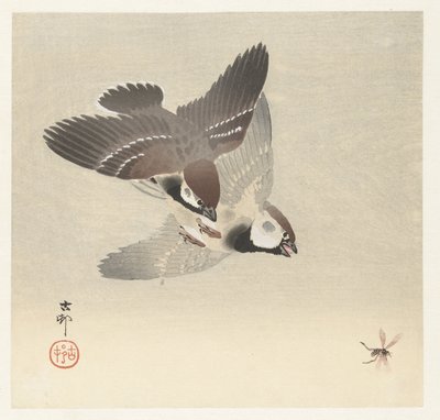 Prsten vrabci a hmyz od Ohara Koson