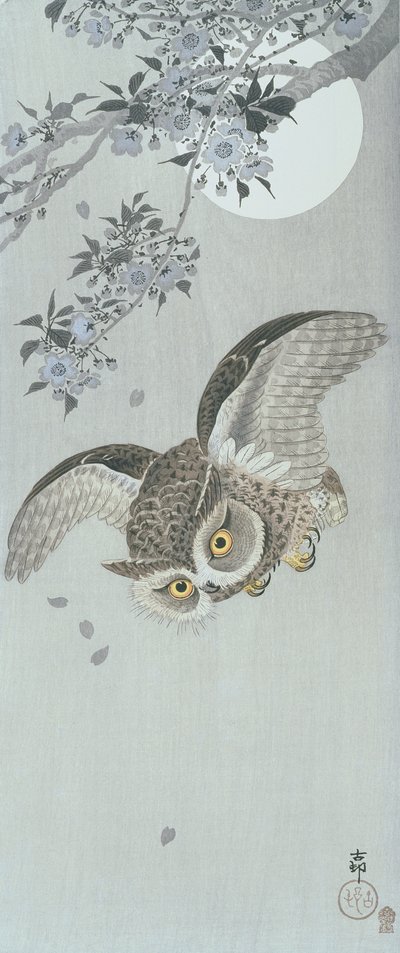 Lopatková sova v letu s květem a úplňkem (barevný dřevotisk) od Ohara Koson