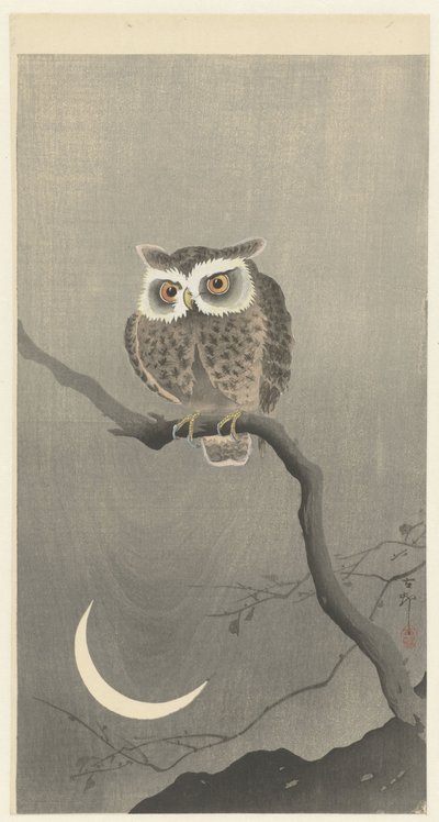 Scops pöllö oksalla puolikuun kanssa od Ohara Koson