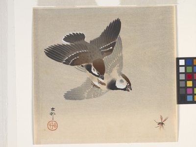 Vrabci honí létající hmyz (barevný dřevotisk) od Ohara Koson
