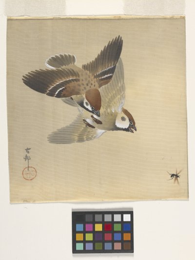 Vrabci honí létající hmyz (inkoust a barva na hedvábí) od Ohara Koson