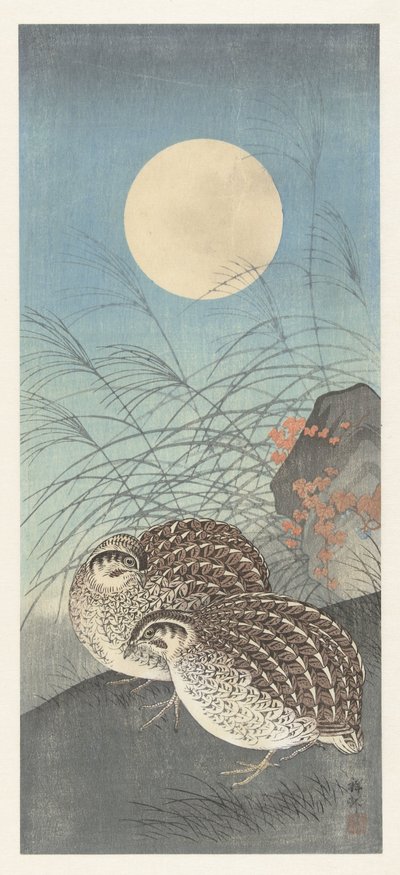 Dvě křepelky za úplňku. od Ohara Koson