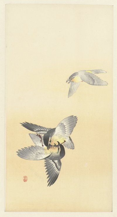 Dva bojující ptáci od Ohara Koson
