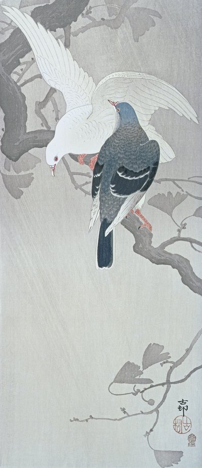 Dvě holubice v dešti na větvi stromu Ginkgo od Ohara Koson
