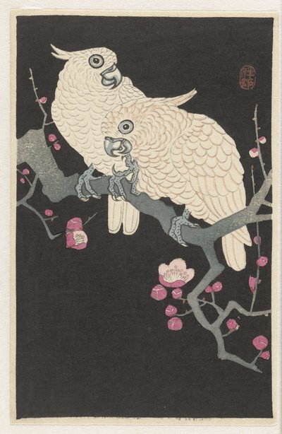 Kaksi kakadua ja luumunkukka od Ohara Koson