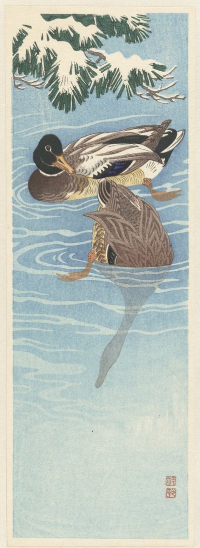 Kaksi villiankkaa vedessä od Ohara Koson