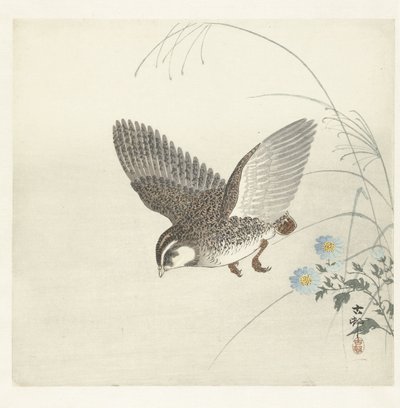 létající křepelka od Ohara Koson