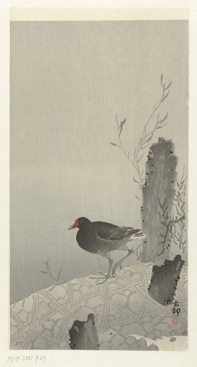 Waterhoen od Ohara Koson