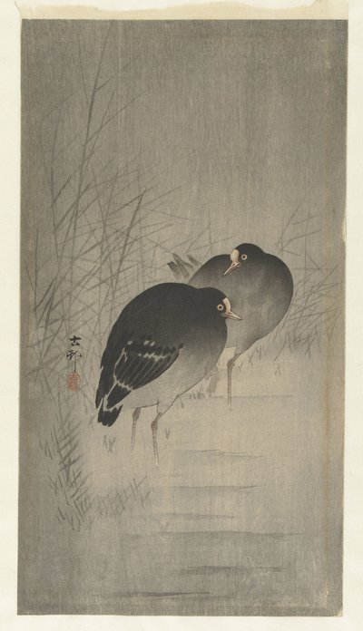 Moorhens mezi rákosím od Ohara Koson