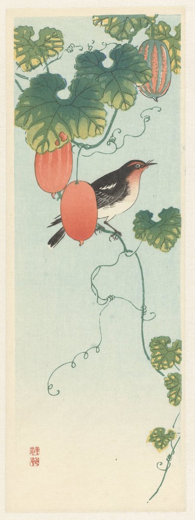 Zpěvák v rostlině okurky od Ohara Koson