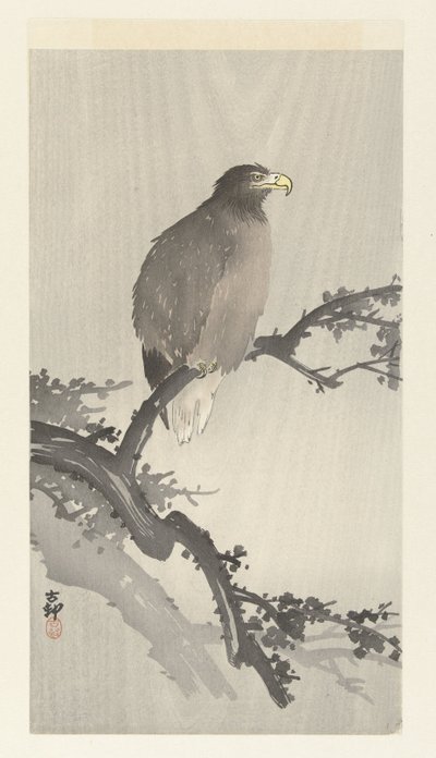 Orel bělohlavý na větvi od Ohara Koson