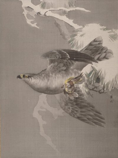 Hawk Holding a Small Bird, ca. 1891-92. od Okada Baison