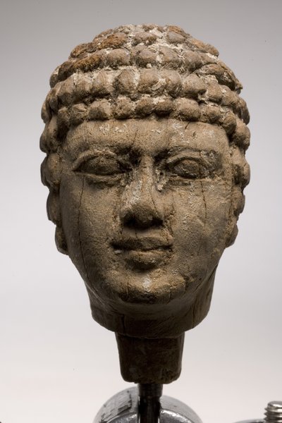 Hlava muže (dřevo) (viz také 249003 a 249005-6) od Old Kingdom Egyptian