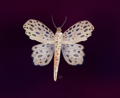 Zářivý motýl od Olga Skomorokhova