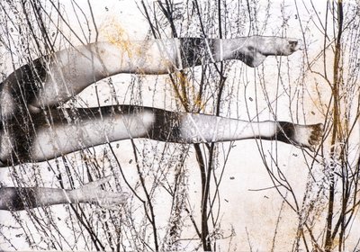 Gambe volanti, 2022 (kombinovaná technika na dřevě) od Olivia Gozzano