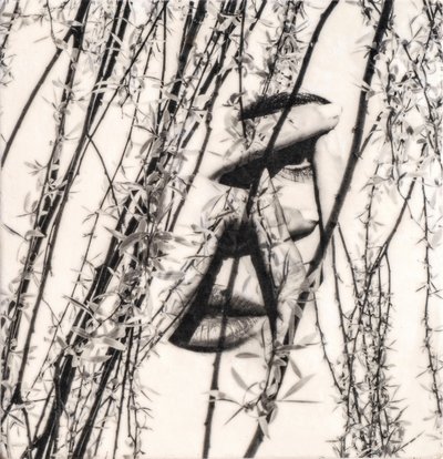 Maura, 2022 (fototransfer včelího vosku na dřevo ) od Olivia Gozzano