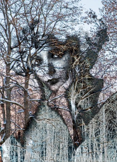 Ritratto invernale, 2021(digitální kombinovaná technika) od Olivia Gozzano