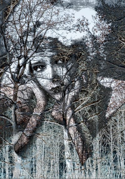 Zimní portrét v negativu, 2021(digitální kombinovaná technika) od Olivia Gozzano