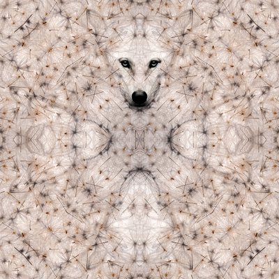 Semi lupus, 2023 (digitální kombinovaná technika) od Olivia Gozzano