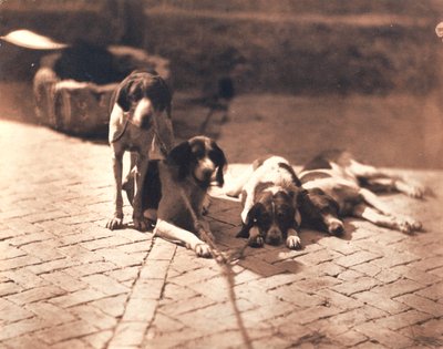 Lovecké psy, asi 1853 (solný tisk) od Olympe Aguado