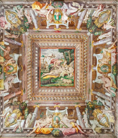 Pohled na strop Adonisovy komnaty a pamětní kameny rodinných příslušníků Rossi, Gonzaga, Riario a Medici, Rocca dei Rossi, San Secondo, Parma, Itálie od Orazio (attr.to) Samacchini