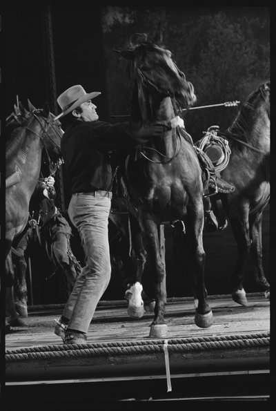Gregory Peck s koněm na scéně 