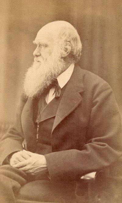 Portrét Charlese Darwina ve věku 72 let, kolem roku 1871 (tisk alba) od Oscar Gustav Rejlander